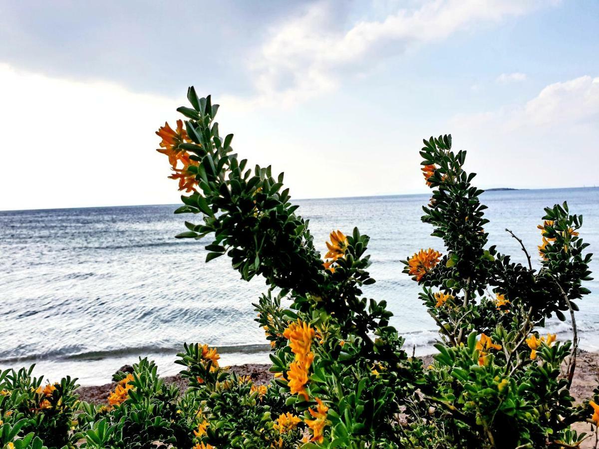 Beautiful Brand New Apartment Seaside เอเธนส์ ภายนอก รูปภาพ